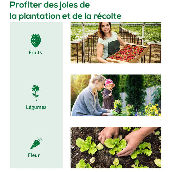Serre de Jardin Tunnel Serre à tomates Surface Sol 6 m² 3L x 2l x 2H m châssis Tubulaire renforcé Porte zippée 2 fenêtres enroulables - transparent