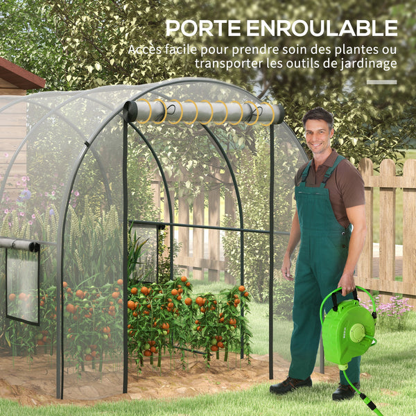 Serre de Jardin Tunnel Serre à tomates Surface Sol 6 m² 3L x 2l x 2H m châssis Tubulaire renforcé Porte zippée 2 fenêtres enroulables - transparent