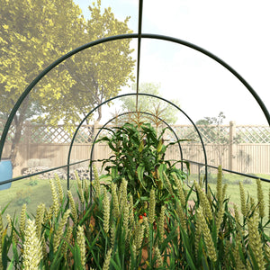 Serre de Jardin Tunnel Serre à tomates Surface Sol 6 m² 3L x 2l x 2H m châssis Tubulaire renforcé Porte zippée 2 fenêtres enroulables - transparent