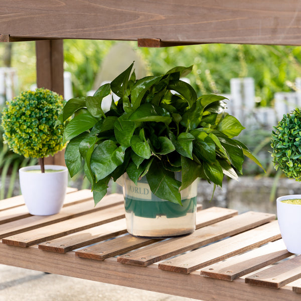 Jardinière sur Pied - Potager sur roulettes - étagère, Tablette Rabattable, Inserts d'irrigation, Feutre de Drainage Inclus - Bois Sapin pré-huilé