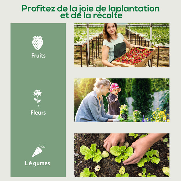 Serre de jardin avec étagères 4 niveaux, serre de balcon, bâche renforcée, châssis en acier, porte zippée, pour légumes plantes fleurs, intérieur et extérieur, 69 x 50 x 165 cm, vert
