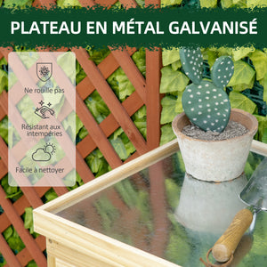Armoire de jardin, armoire de rangement de jardin, avec plateau en métal galvanisé étagère double porte avec poignée pieds surélevés en bois massif 80 x 45 x 92 cm bois naturel