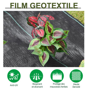 Toiles de paillage - Toile anti mauvaises herbes - toile de paillage anti mauvaises herbes 100 g/m² - indéchirable perméable à l'eau anti UV dim. 50L x 2l m - PP noir vert