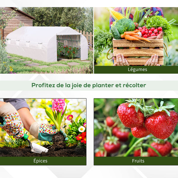 Serre Tunnel de Jardin dim. 6 x 3 x 2 m Porte + 8 fenêtres enroulables Acier bâche PE Haute densité Blanc