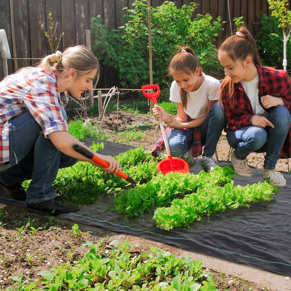 Toile de paillage, géotextile de paillage contre les mauvais herbes 100 x 1 m, résistant aux déchirures et conditions climatiques extrêmes, en polypropylène, noir
