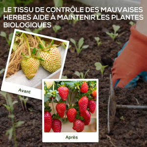Toile de paillage, géotextile de paillage contre les mauvais herbes 100 x 1 m, résistant aux déchirures et conditions climatiques extrêmes, en polypropylène, noir