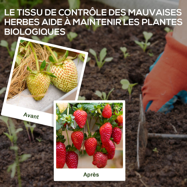Toile de paillage, géotextile de paillage contre les mauvais herbes 100 x 1 m, résistant aux déchirures et conditions climatiques extrêmes, en polypropylène, noir