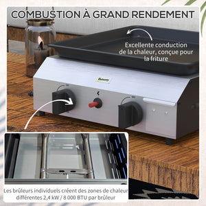 Plancha gaz en acier inox émaillé plaque de cuisson 2 brûleurs 4,8 kW antiadhésive grande surface de cuisson 40L x 34l cm, transportable