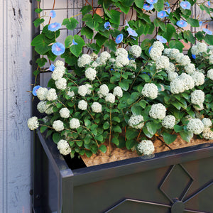 Jardinière avec treillis, lit surélevé de jardin, jardinière extérieure - motif en losanges, trous de drainage, bac à fleurs en acier galvanisée pour balcon terrasse patio, 90x40x120 cm, noir
