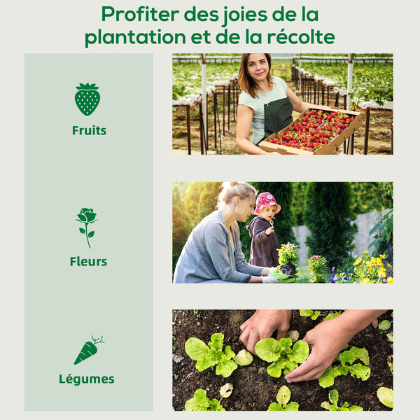 Serre de jardin PE, serre de balcon, bâche renforcée 140 g/m², châssis en acier, porte zippée enroulable, pour légumes plantes fleurs, intérieur et extérieur, 200 x 77 x 169 cm, vert