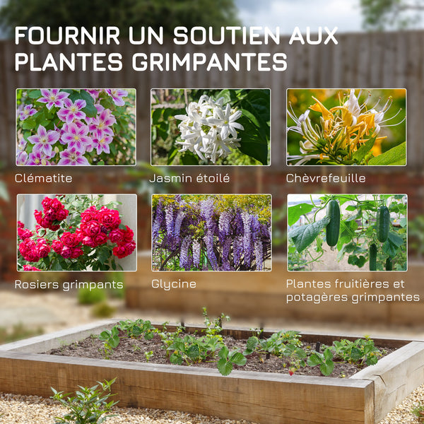 Lot de 2 treillis de jardin, support pour plantes grimpantes en métal, 50L x 181H cm, noir