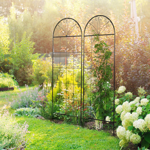 Treillis de jardin lot de 2 support pour plantes grimpantes en métal - 51 x 152 cm noir