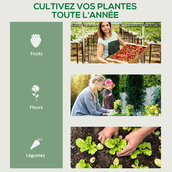 Serre de jardin avec étagères 4 niveaux, serre de balcon, bâche renforcée, châssis en acier, porte zippée, pour légumes plantes fleurs, intérieur et extérieur, 69 x 50 x 165 cm, transparent