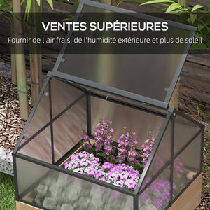 Mini Serre sur Pieds - jardinière surélevée - dim.  60L x 57l x 103H cm - double toit ouvrable Panneaux de Polycarbonate, acier, Bois Sapin traité
