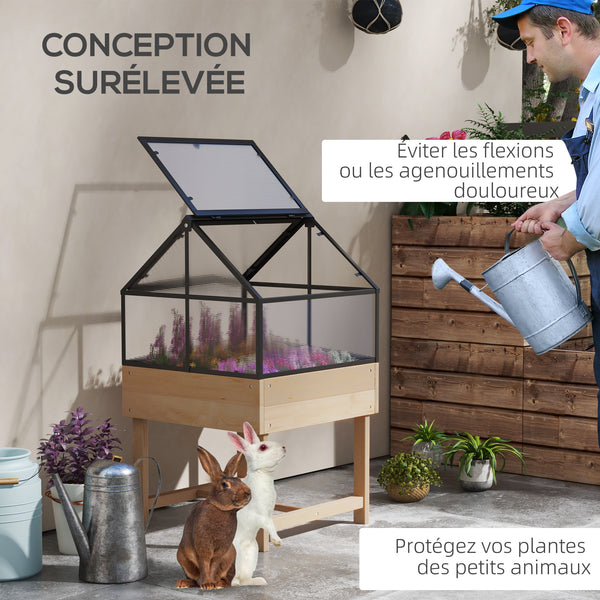 Mini Serre sur Pieds - jardinière surélevée - dim.  60L x 57l x 103H cm - double toit ouvrable Panneaux de Polycarbonate, acier, Bois Sapin traité