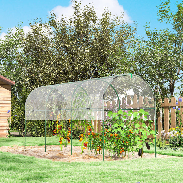 Serre de jardin, serre à tomates, bâche renforcée, châssis en acier, pour légumes plantes fleurs, pour extérieur, 400 x 123 x 171 cm, transparent
