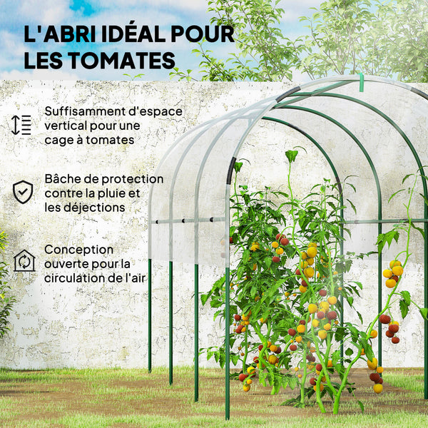 Serre de jardin, serre à tomates, bâche renforcée, châssis en acier, pour légumes plantes fleurs, pour extérieur, 400 x 123 x 171 cm, transparent