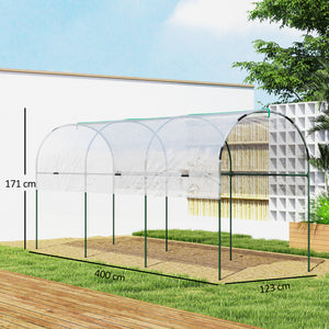 Serre de jardin, serre à tomates, bâche renforcée, châssis en acier, pour légumes plantes fleurs, pour extérieur, 400 x 123 x 171 cm, transparent