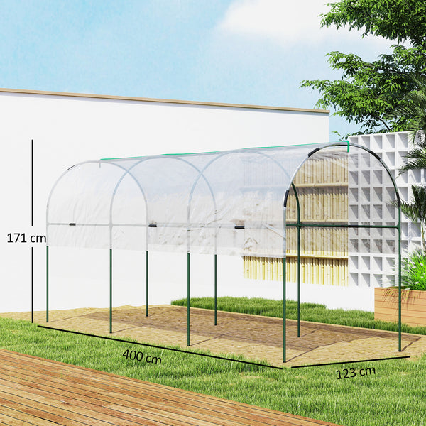 Serre de jardin, serre à tomates, bâche renforcée, châssis en acier, pour légumes plantes fleurs, pour extérieur, 400 x 123 x 171 cm, transparent