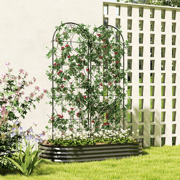 Support pour plantes grimpantes avec motif irrégulier, lot de 2, treillis de jardin, pour légumes, vignes, fleurs, en métal, 50 x 180 cm, noir