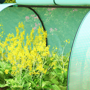 Mini Serre de Jardin mini serre tunnel serre à tomates 4 x 1 x 0,8 m Acier PE Haute densité 140 g/m² Anti-UV 4 portes avec Zip enroulables Vert